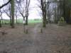 NWK 2012 043_small.jpg